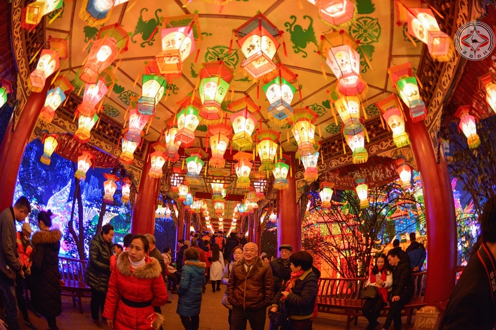 �L(f��ng)���L(zh��ng)��